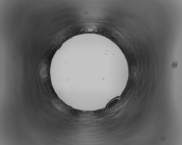 X0000101401442200807280950