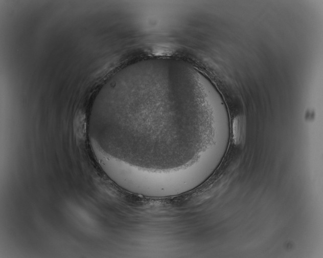 X0000101401443200807280950