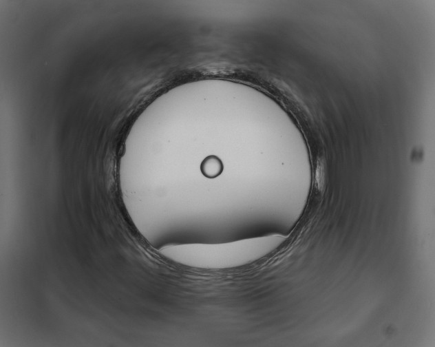 X0000101401444200807280950