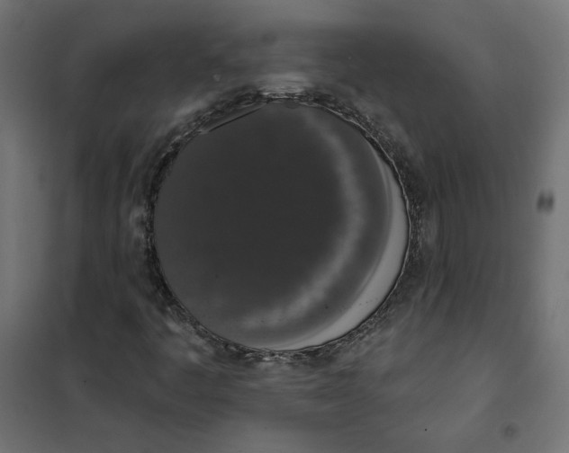 X0000101401445200807280950