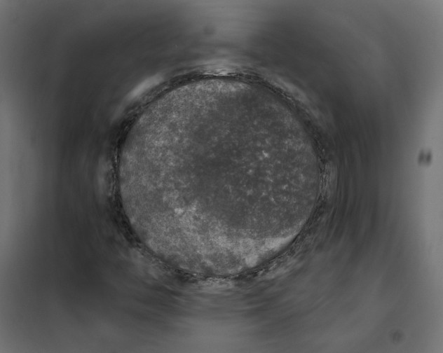 X0000101401446200807280950