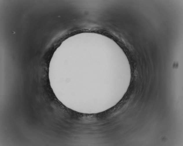 X0000101401447200807280950