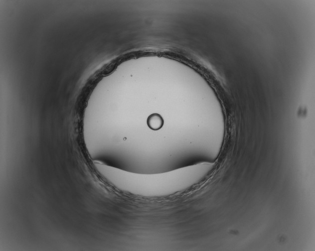 X0000101401448200807280950