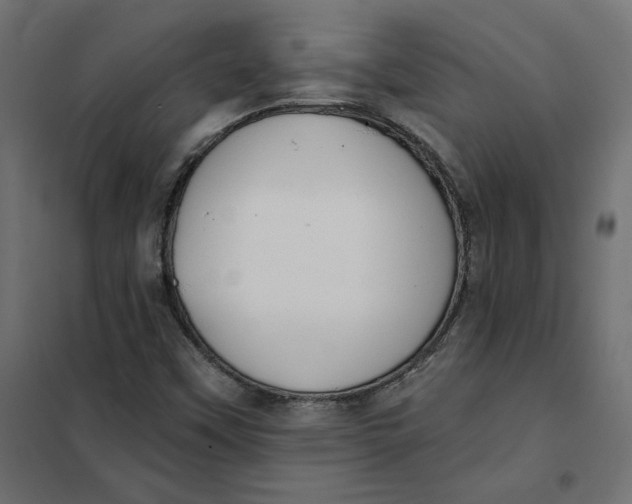 X0000101401451200807280950