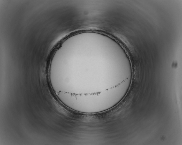 X0000101401452200807280950