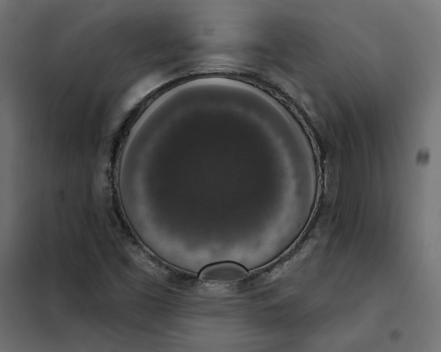 X0000101401453200807280950