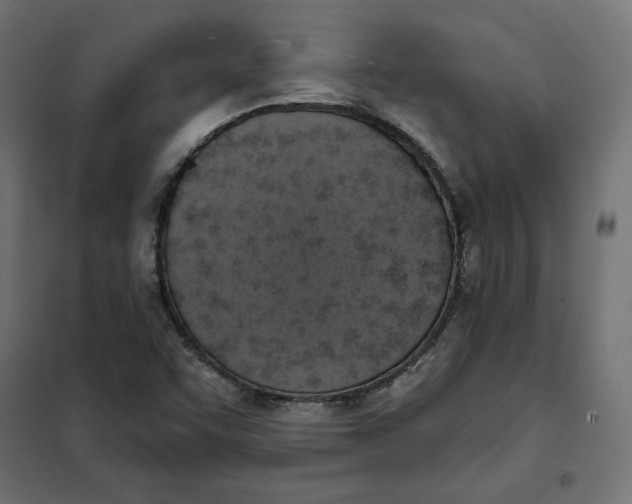 X0000101401455200807280950