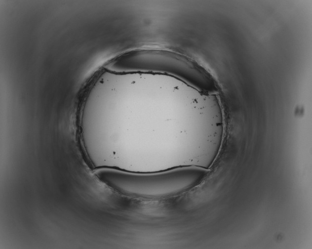 X0000101401456200807280950