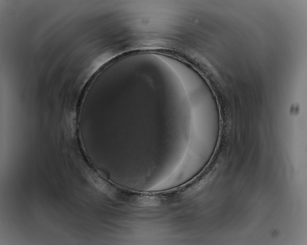 X0000101401457200807280950