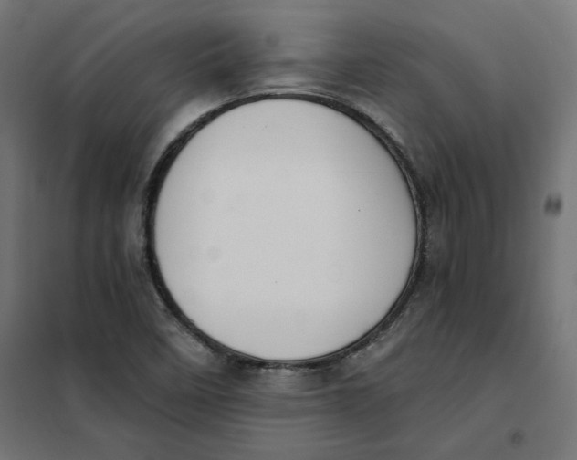 X0000101401458200807280950