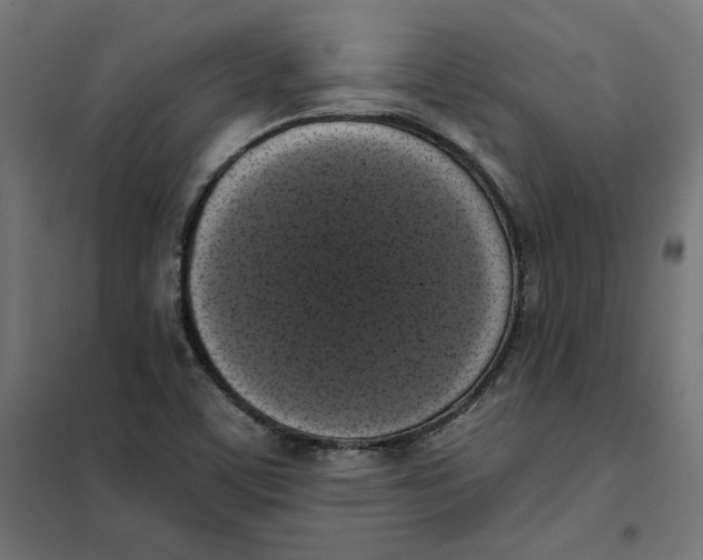 X0000101401459200807280950