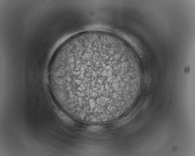 X0000101401462200807280950