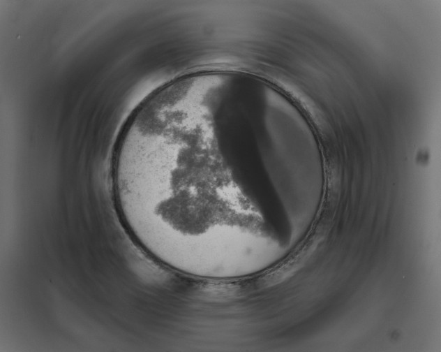 X0000101401466200807280950