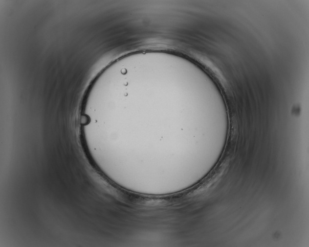 X0000101401467200807280950