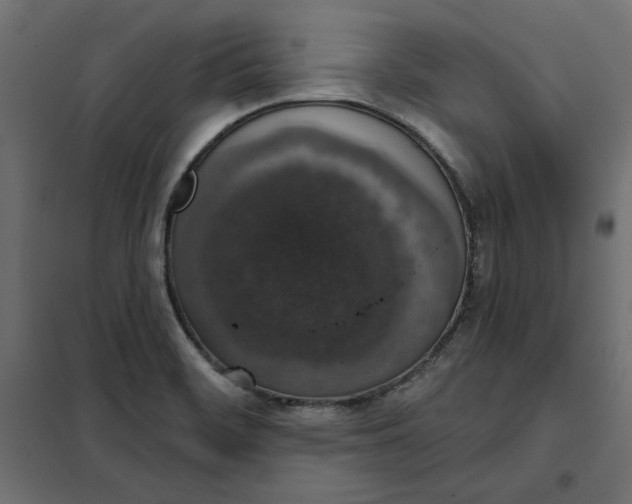 X0000101401468200807280950