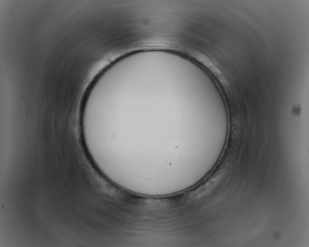 X0000101401469200807280950