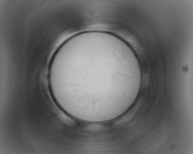 X0000101401470200807280950