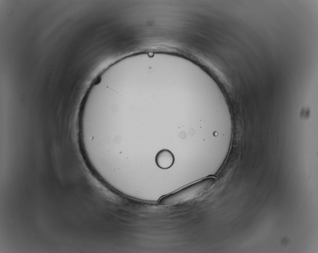 X0000101401471200807280950