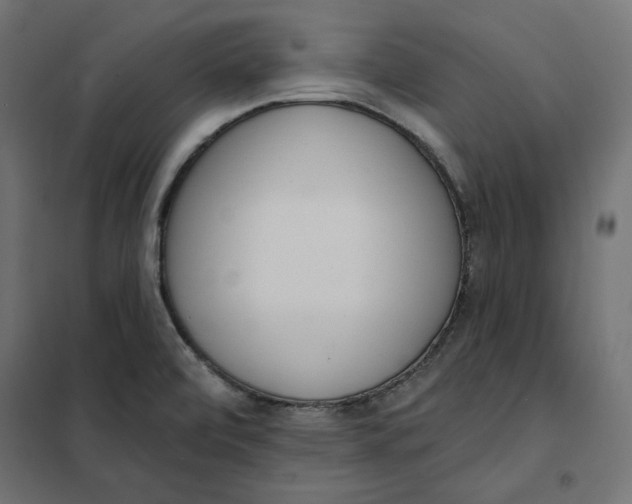 X0000101401472200807280950