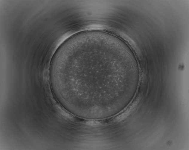 X0000101401473200807280950