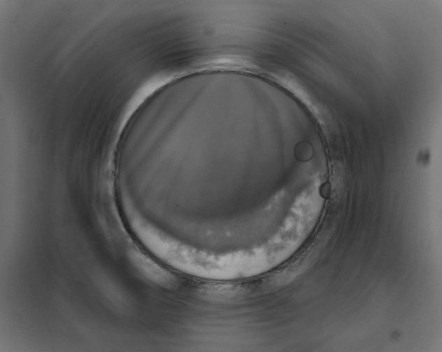 X0000101401474200807280950