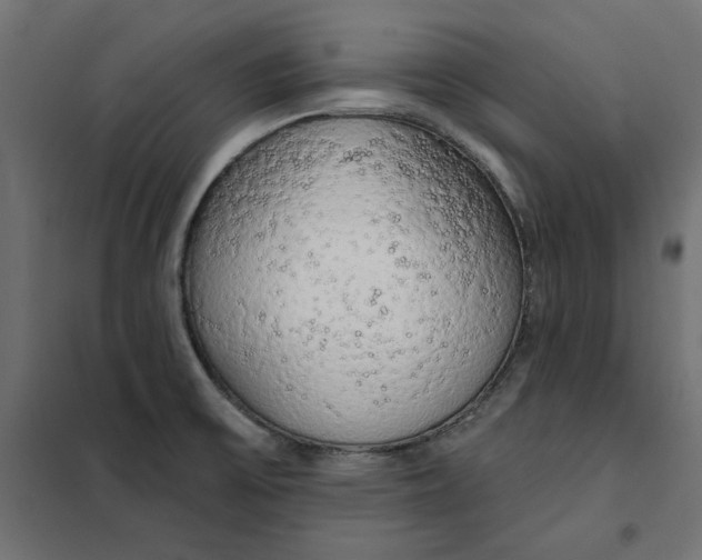 X0000101401475200807280950