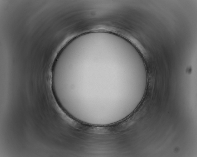 X0000101401476200807280950