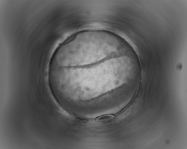 X0000101401477200807280950