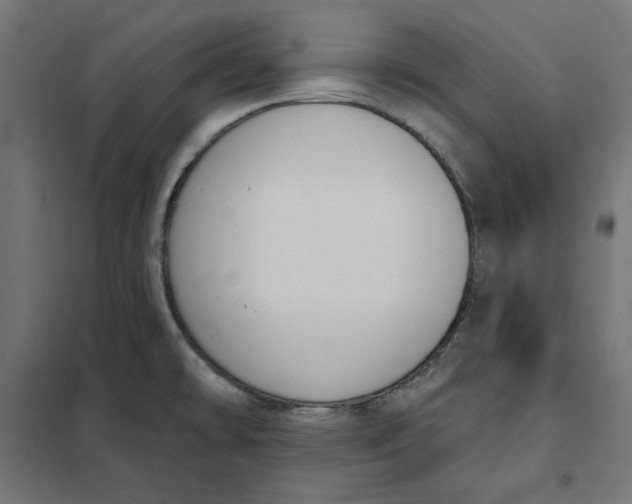 X0000101401478200807280950