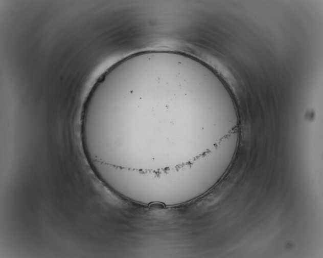 X0000101401480200807280950