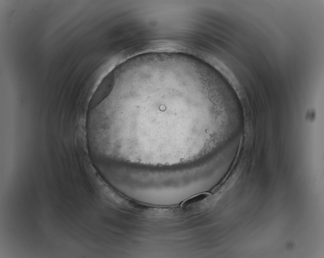 X0000101401481200807280950