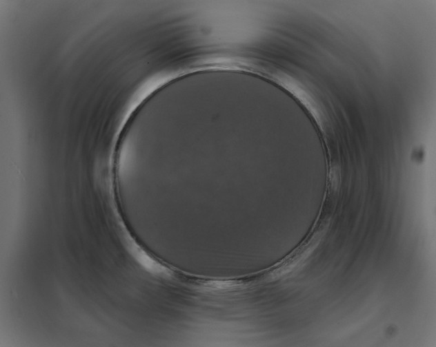 X0000101401482200807280949