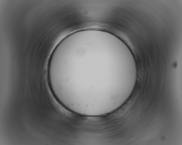 X0000101401483200807280949