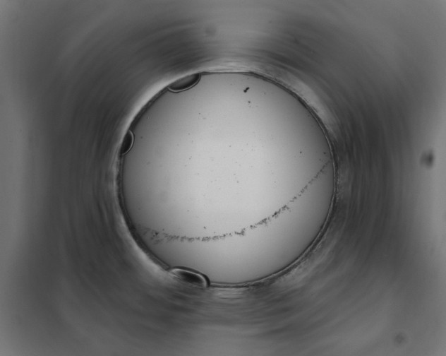 X0000101401484200807280949