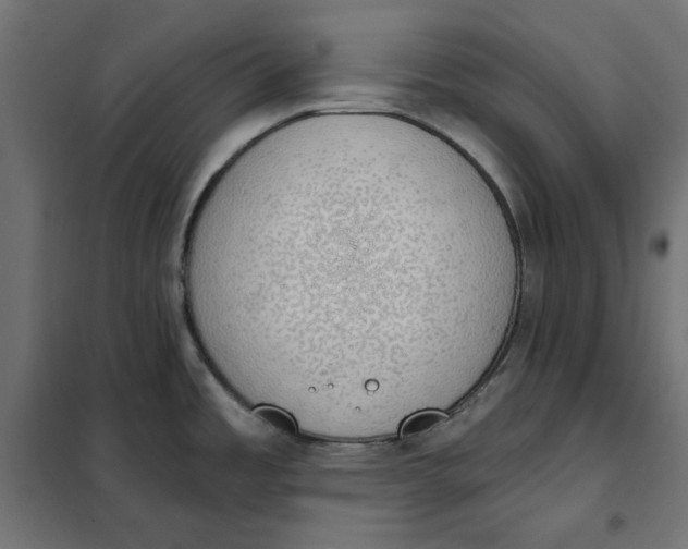 X0000101401485200807280949