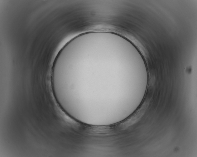 X0000101401486200807280949