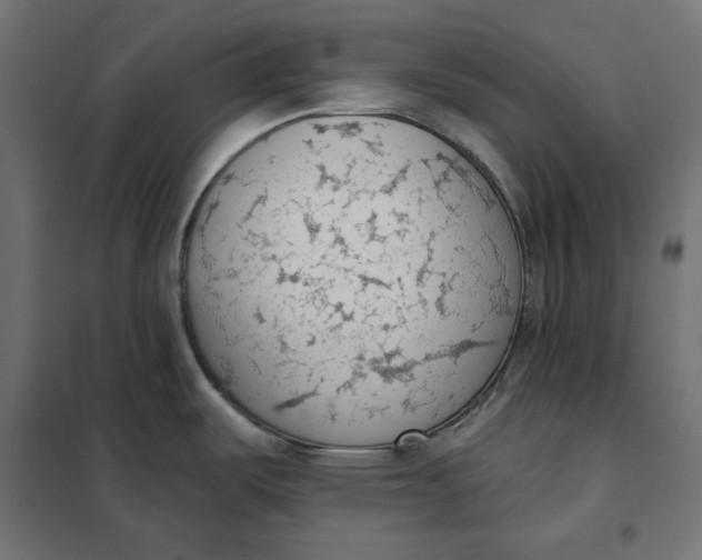 X0000101401487200807280949