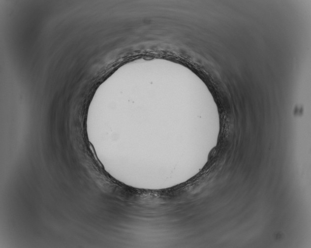 X0000101401489200807280949