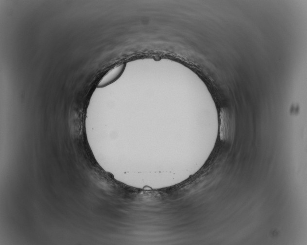 X0000101401491200807280949