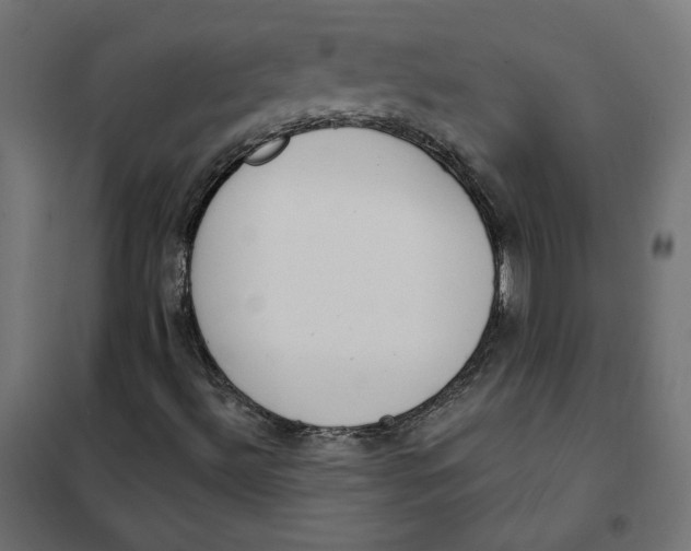 X0000101401492200807280949