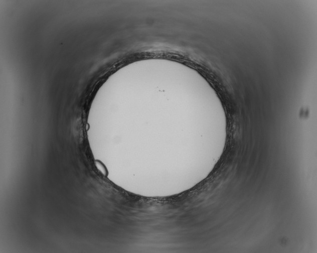 X0000101401493200807280949