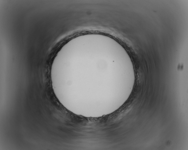 X0000101401494200807280949