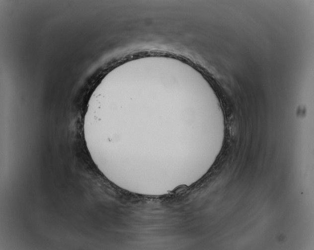 X0000101401495200807280949