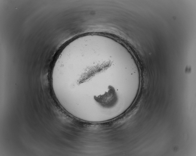 X0000101401497200807280949