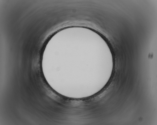 X0000101401498200807280949