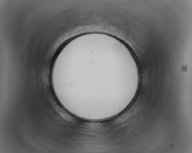 X0000101401499200807280949