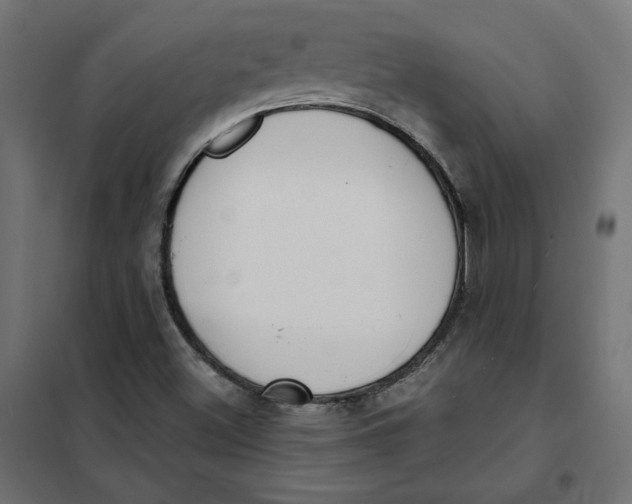 X0000101401500200807280949