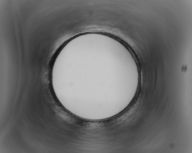 X0000101401501200807280949