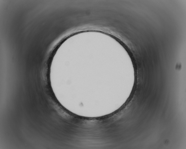 X0000101401502200807280949