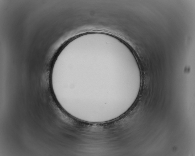 X0000101401503200807280949